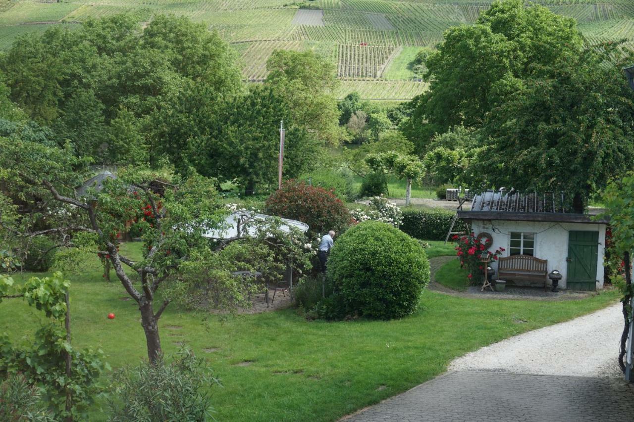 Feriengut Bohn Hotell Bernkastel-Kues Exteriör bild